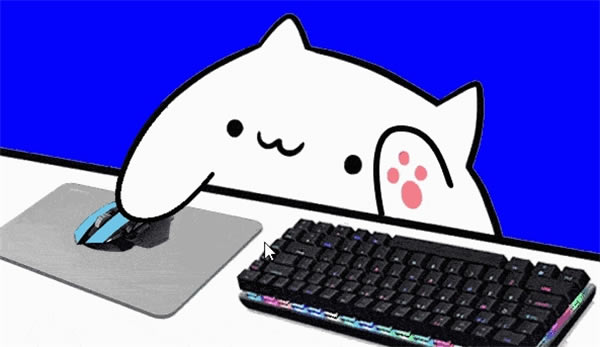 Bongo cat Mver