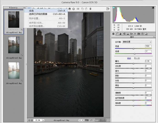 
Adobe Camera Raw13.1