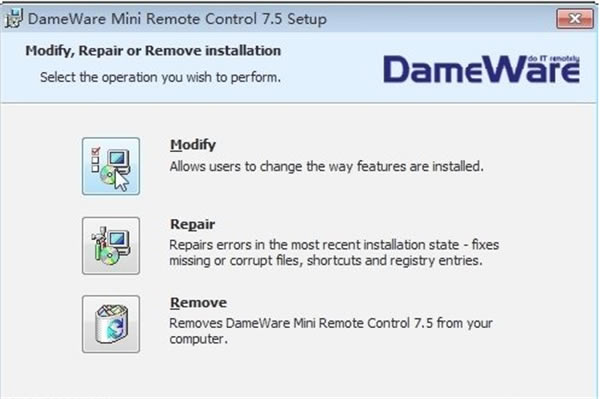 DameWare