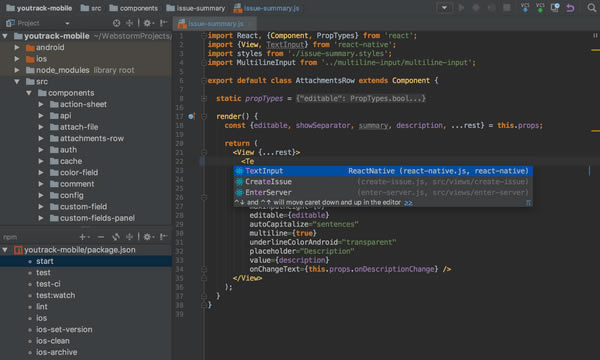 
JetBrains WebStormԶ˹ٷ2024°ɫذװ