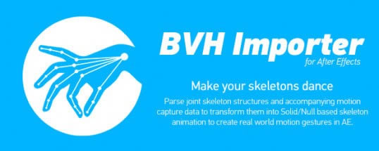 BVH Importer(AE׽ɶű)