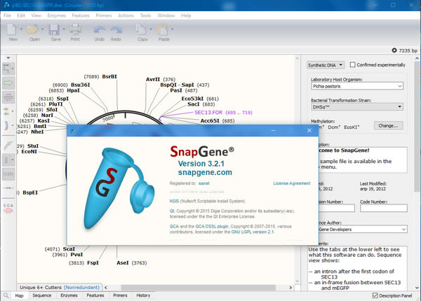 
GSL Biotech SnapGeneԶ˹ٷ2024°ɫذװ