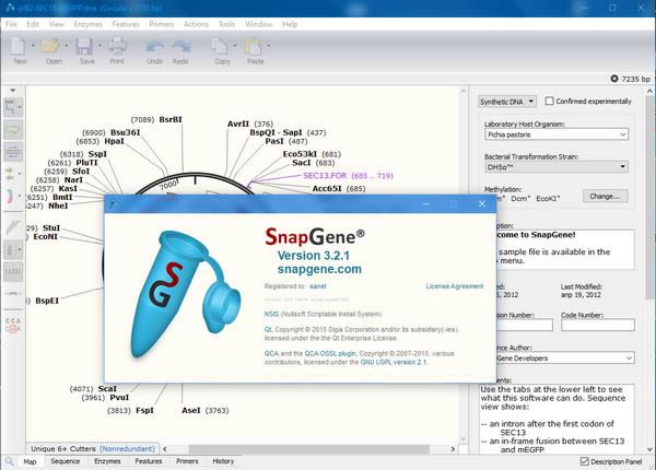 
GSL Biotech SnapGene-ѧ-GSL Biotech SnapGene v5.2.4.0Ѱ