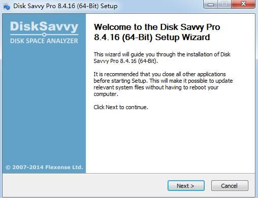 Disk Savvy Pro(x64)-Disk Savvy Pro(x64) v8.4.16ٷ