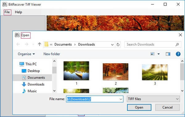 BitRecover Tiff Viewer-TIFF文件查看器-BitRecover Tiff Viewer下载 v2.2官方版本