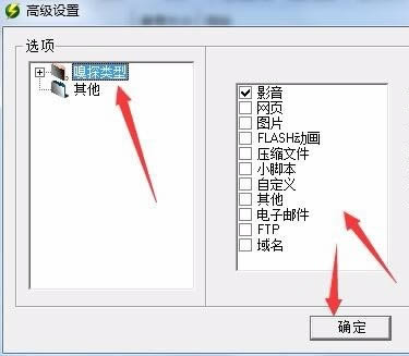 影音嗅探专家-网络视频下载器-影音嗅探专家下载 v2013.10.22.0官方正式版