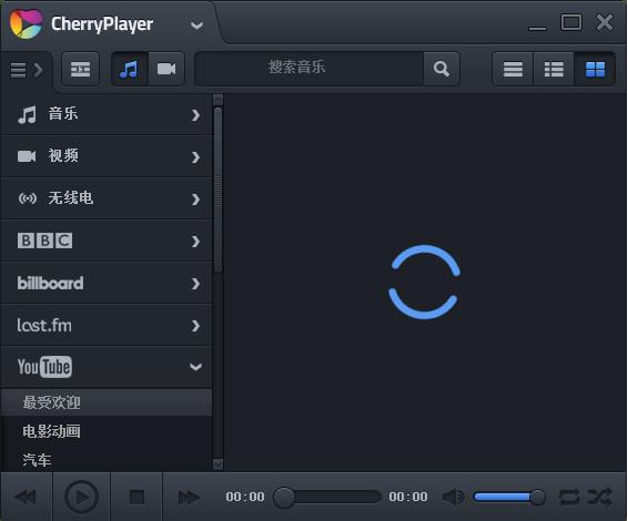 CherryPlayer(ӣҲ)v2.4ɫ